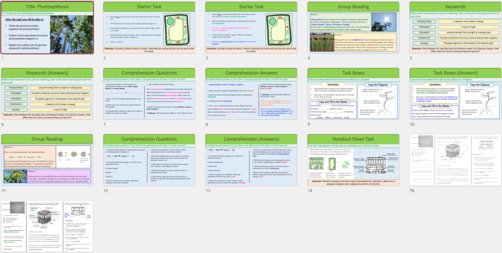 GCSE Biology Topic 4: Photosynthesis Lesson Slide Thumbnails