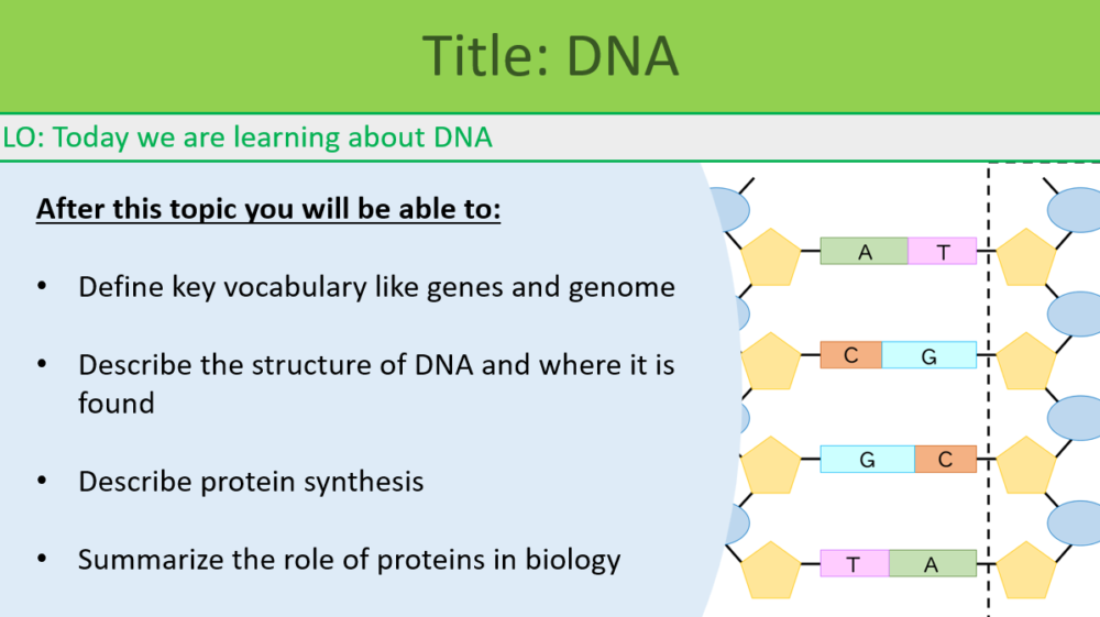 GCSE Biology Topic 6: DNA Learning Objectives