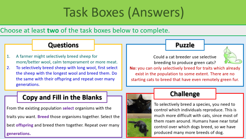 Selective Breeding Task Boxes Exercise