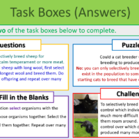 Selective Breeding Task Boxes Exercise