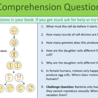 Sexual Reproduction Comprehension Questions
