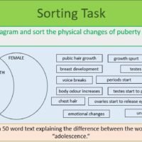 Sorting Task Sorting Task