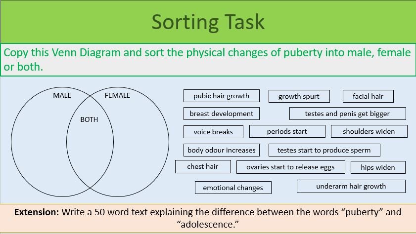 Sorting Task Sorting Task