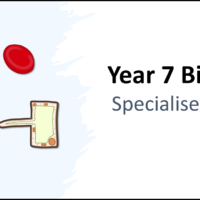 Specialised Cells Biology B1 Year-7 Title