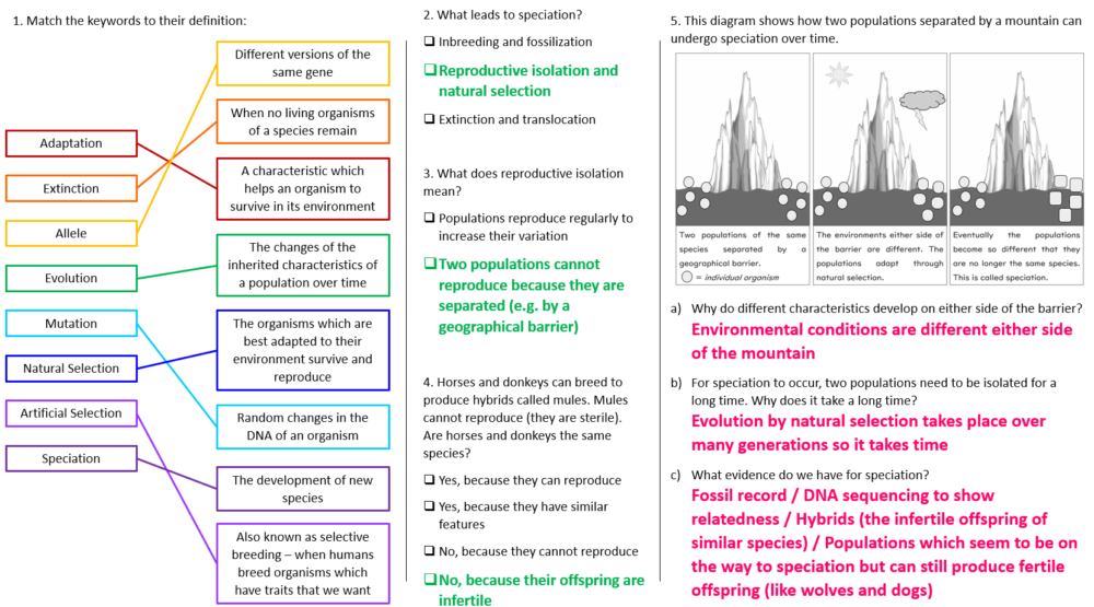 Speciation Worksheet
