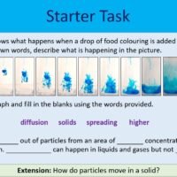 Starter Activities Starter Activities