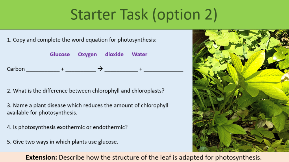 GCSE Biology Topic 4: Rate of Photosynthesis Starter Task Option 2