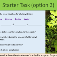 GCSE Biology Topic 4: Rate of Photosynthesis Starter Task Option 2