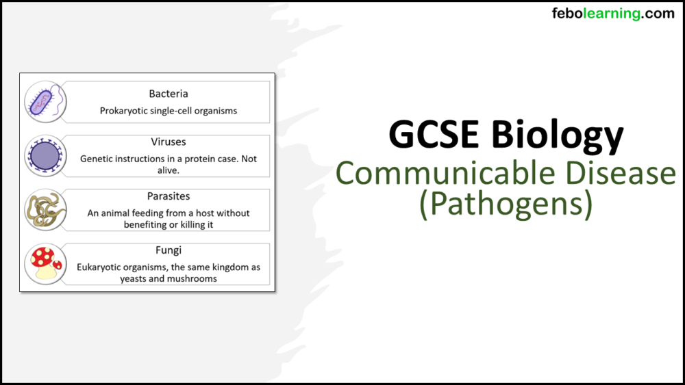 GCSE Biology Topic 3: Communicable Disease Pathogens Title Slide