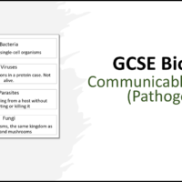 GCSE Biology Topic 3: Communicable Disease Pathogens Title Slide