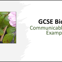GCSE Biology Topic 3: Communicable Disease Examples Title Slide