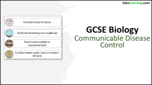 GCSE Biology Topic 3: Communicable Disease Spread and Prevention Title Slide
