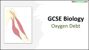 Link to next lesson: Oxygen Dept