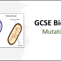 GCSE Biology Topic 6 Mutations