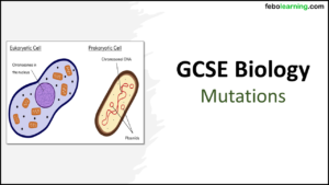 GCSE Biology Topic 6 Mutations