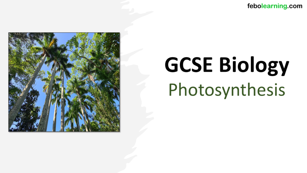 GCSE Biology Topic 4: Photosynthesis Title Slide
