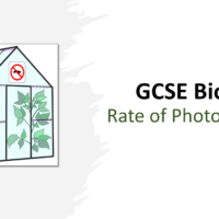 GCSE Biology Topic 4: Rate of Photosynthesis Title Slide