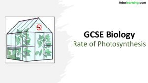 GCSE Biology Topic 4: Rate of Photosynthesis Title Slide