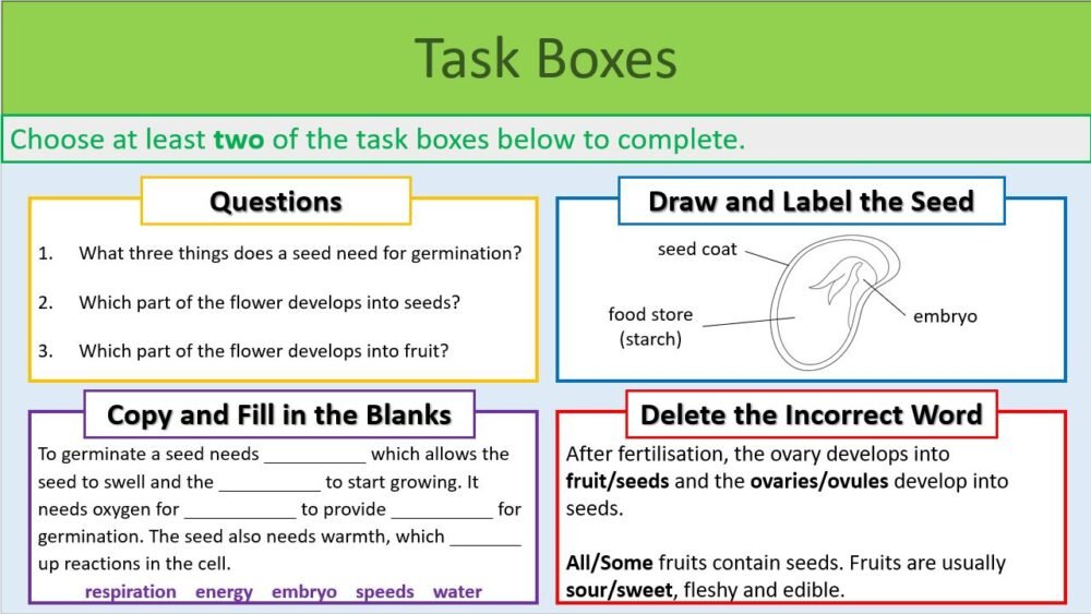 Task Boxes