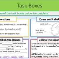 Task Boxes