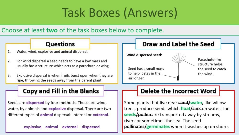 Task Boxes