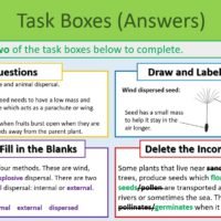 Task Boxes