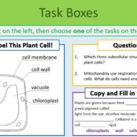 Task Boxes Task Boxes