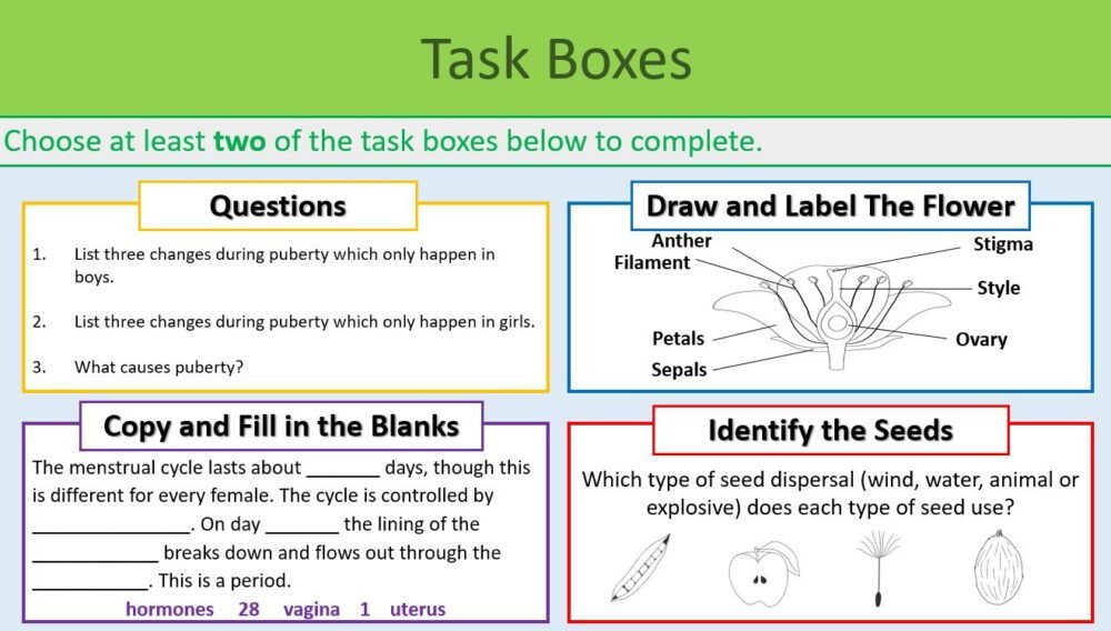 Task Boxes