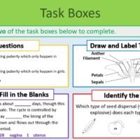 Task Boxes