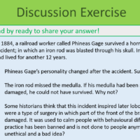 The Brain Discussion Exercise