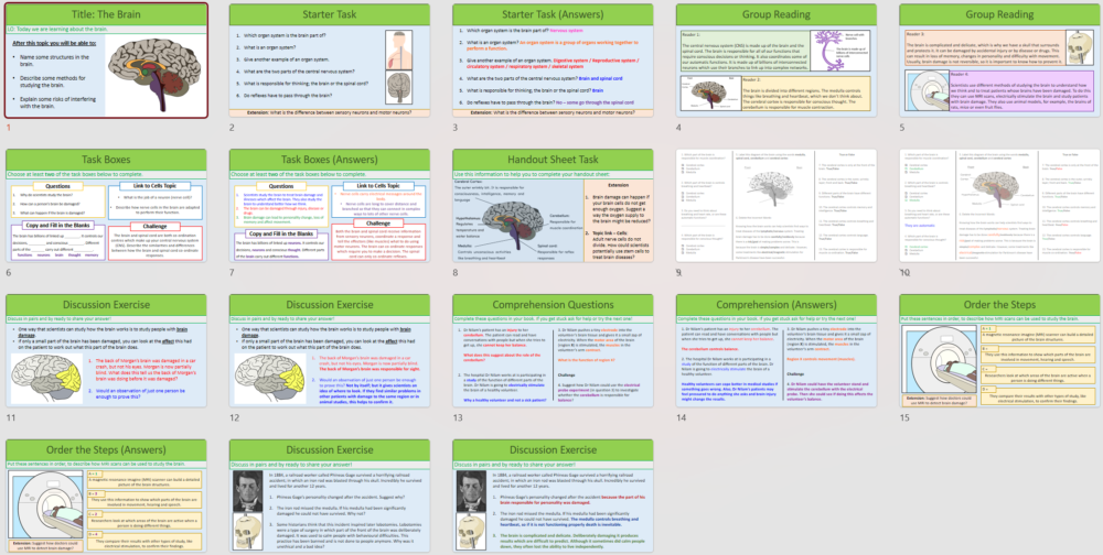 GCSE Biology Topic 5: The Brain lesson slide thumbnails