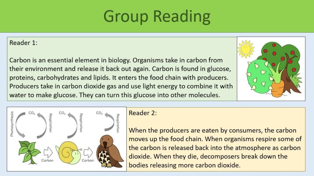The Carbon Cycle Group Reading