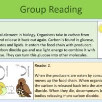 The Carbon Cycle Group Reading