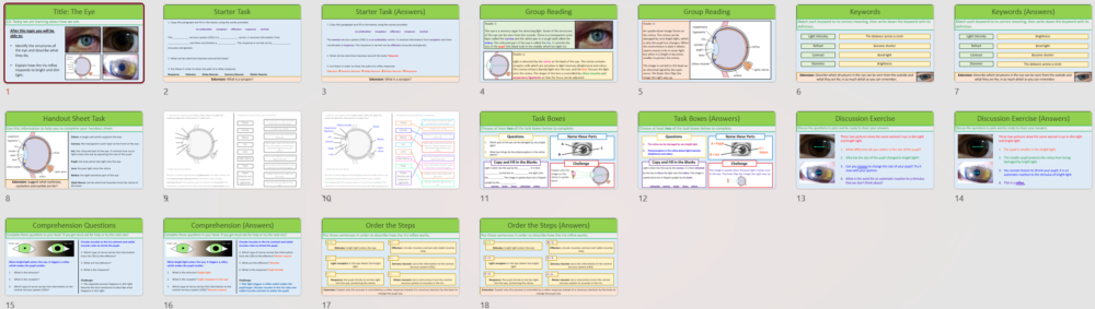 GCSE Biology Topic 5: The Eye lesson slide thumbnails