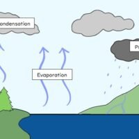 The Water Cycle Illustration