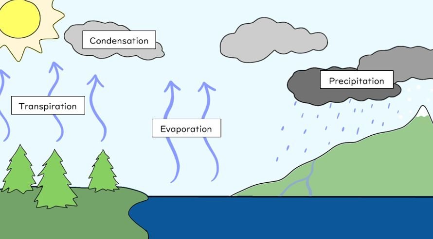 The Water Cycle Illustration