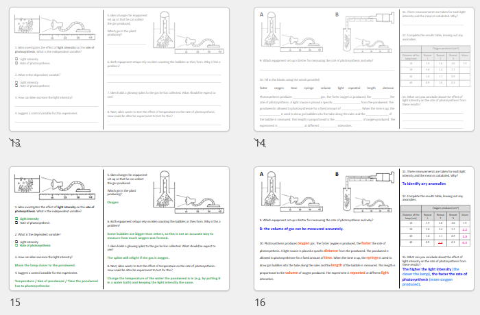 Thumbnails of lesson worksheets