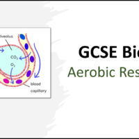 GCSE Biology Topic 4: Aerobic Respiration Title slide