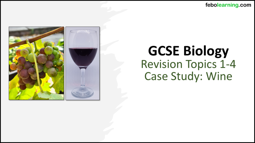 GCSE Biology BONUS Revision Topics 1-4 Wine Case Study Title Slide