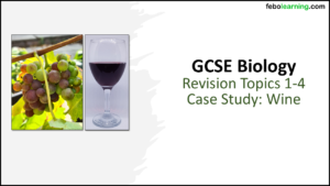 GCSE Biology BONUS Revision Topics 1-4 Wine Case Study Title Slide
