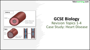 GCSE Biology BONUS Revision Topics 1-4 Heart Failure Case Study Title Slide