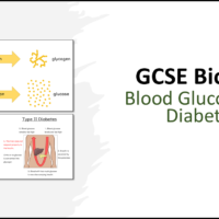 GCSE Biology Topic 5: Blood Glucose and Diabetes title slide
