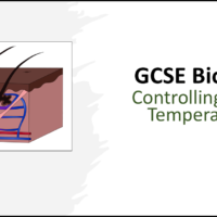GCSE Biology Topic 5: Body Temperature title slide