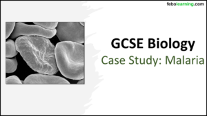 GCSE Biology Topics 1-3: Revision Case Study (Malaria) Title Slide
