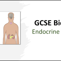GCSE Biology Topic 5: The Endocrine System title slide