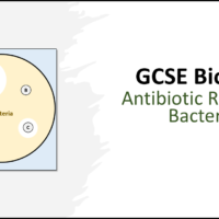 GCSE Biology Topic 6 Antibiotic Resistant Bacteria Lesson