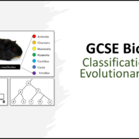 GCSE Biology Topic 6 Classification and Evolutionary Trees Lesson