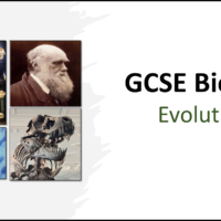 GCSE Biology Topic 6 Evolution