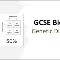 GCSE Biology Topic 6 Genetic Diagrams