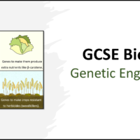GCSE Biology Topic 6 Genetic Engineering